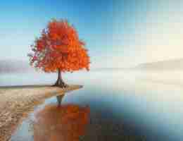 自﻿动​跑‍流‌量‌软‌件‌下﻿载‌安​装‍